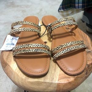 J.Crew Sandals